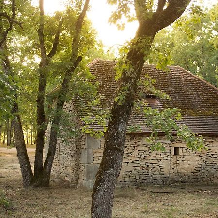 Le Bois De Faral Hotel Le Bastit Kültér fotó